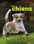 Les chiens