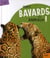 Quels bavards ces animaux !