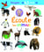 Écoute les animaux : 63 sons
