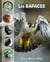 Tout un monde en photos : Les rapaces