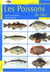 Les poissons de mer