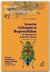 Insecta coleoptera buprestidae de madagascar et des îles voisines