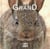 Devenir Grand Petit Lapin