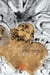1 . l'enfer - la divine comedie