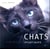 Chats, portraits atypiques