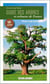 Guide des arbres et arbustes de France