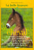 La belle histoire du cheval