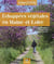 Échappées végétales en Maine-et-Loire