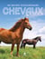 Chevaux - un univers extraordinaire