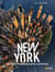 New york - un siècle de photographies aériennes