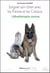 Soigner son chien avec les pierres et les cristaux - lithothérapie canine