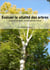 Évaluer la vitalité des arbres : guide d'utilisation de la méthode ARCHI