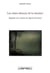 Les clairs-obscurs de la douleur - regards sur l'oeuvre de sylvie germain