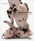 Bebes chiens - jolies truffes et ventres doux