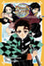 Demon slayer Tome 1 : Tanjiro & Nezuko l'origine de leur destin