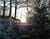 Paysages reels, nature revee - patrimoine de la creuse
