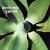 Exciter