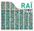 Spirit Of Raï