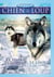 Coffret entre chien et loup