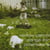 Songs for polarbears