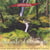 Sounds of the Earth Collection