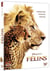 Félins