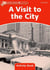 Dolphins, level 2: a visit to the city activity book