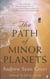 Path of minor planets