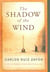 The shadow of the wind