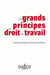 Les grands principes du droit du travail (1re édition)
