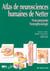 Atlas de neurosciences humaines de netter - neuroanatomie, neurophysiologie