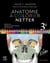 Anatomie à colorier Netter (3e édition)
