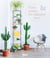 Vivre parmi les plantes - tout pour créer son jardin d'intérieur