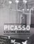 Picasso - l'ultime demeure - histoire et architecture de l'hôtel Salé