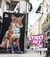 Revue Dada n.295 : Street Art : Des animaux dans la ville