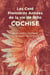 Les cent premières années de Nino Cochise