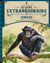 Le livre extraordinaire des singes