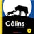 Câlins
