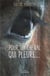 Pour un cheval qui pleure