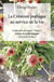 La Création poétique au service de la vie - Tome 3 : Aimer et se développer Clés pour évoluer