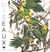 Oiseaux