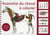 Anatomie du cheval à colorier