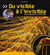 Du visible à l'invisible - explorons la matière