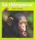 Le chimpanzé, plein d'idées
