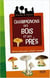 Champignons des bois et des pres