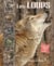 Tout un monde en photos : les loups