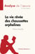 La vie rêvée des chaussettes orphelines de Marie Vareille : analyse de l'oeuvre