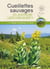 Cueillettes sauvages en Auvergne-Limousin-Quercy - glaner 60 plantes et fruits