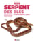 Serpent des blés & autres serpents ratiers - pantherophis guttata, p. obsoletus, bogertophis...