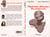 Musiciens africains des années 80